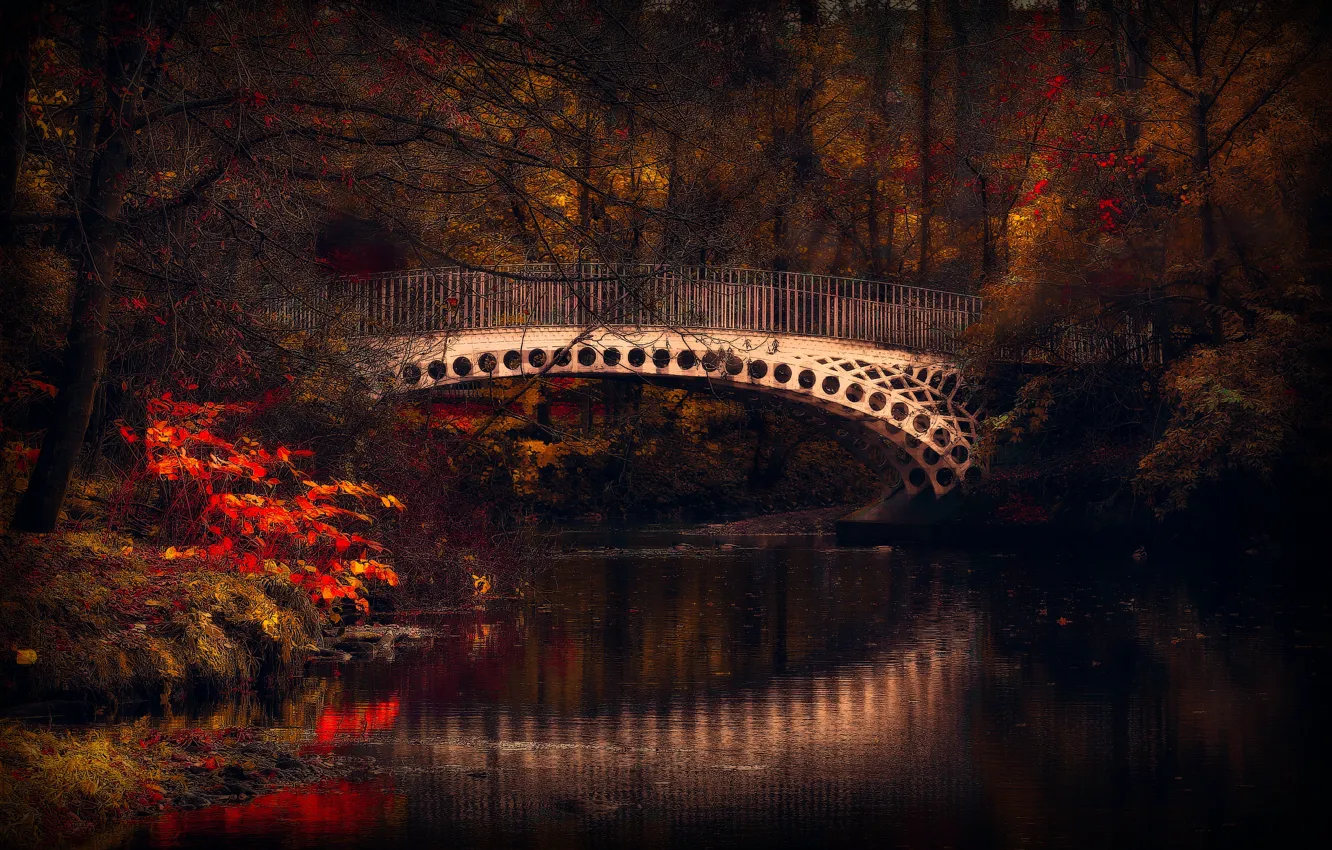 Photo wallpaper autumn, trees, beauty, river, the bridge