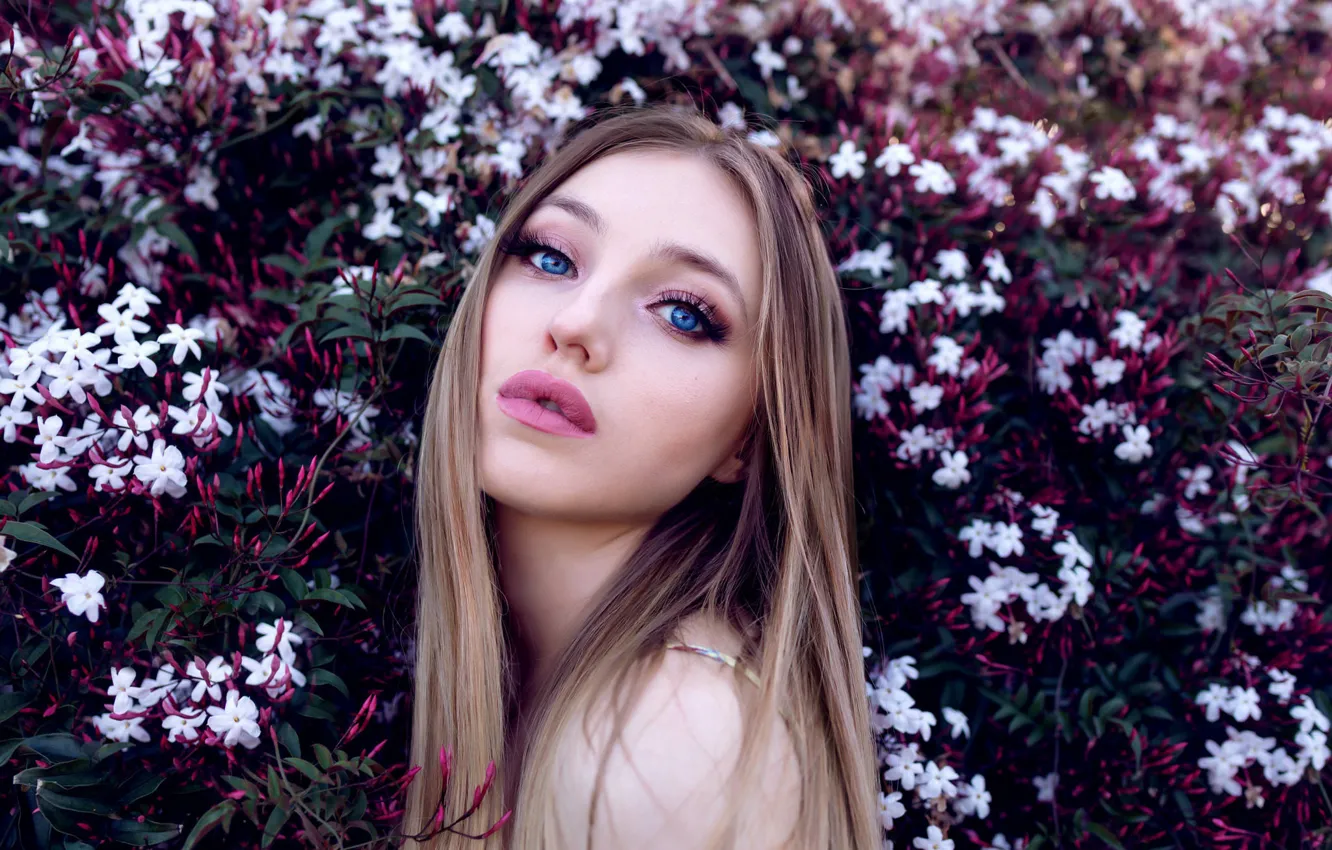Photo wallpaper look, girl, flowers, model, portrait, makeup, hairstyle, beauty