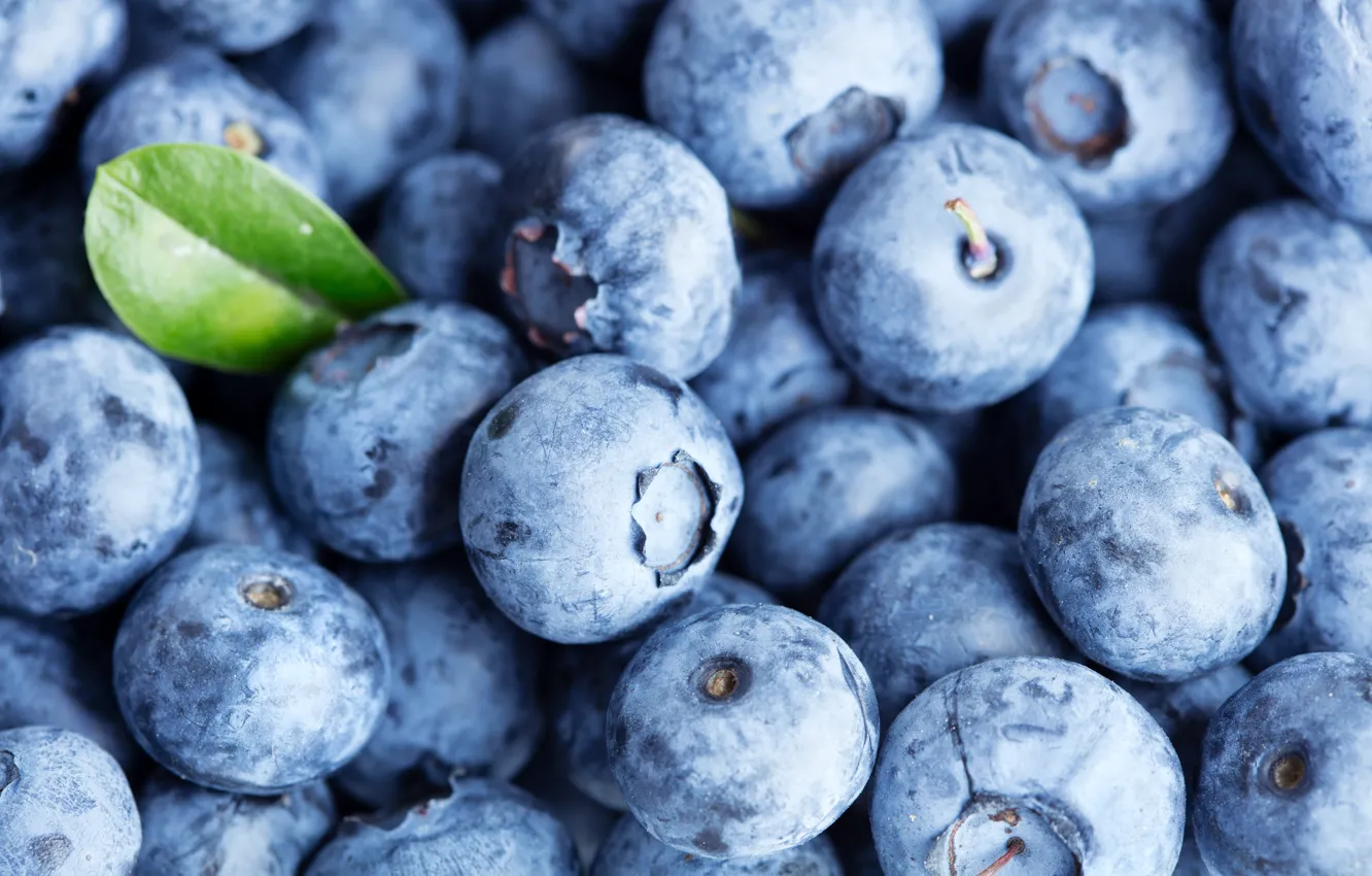 Photo wallpaper berries, blueberries, fresh, blueberry, berries