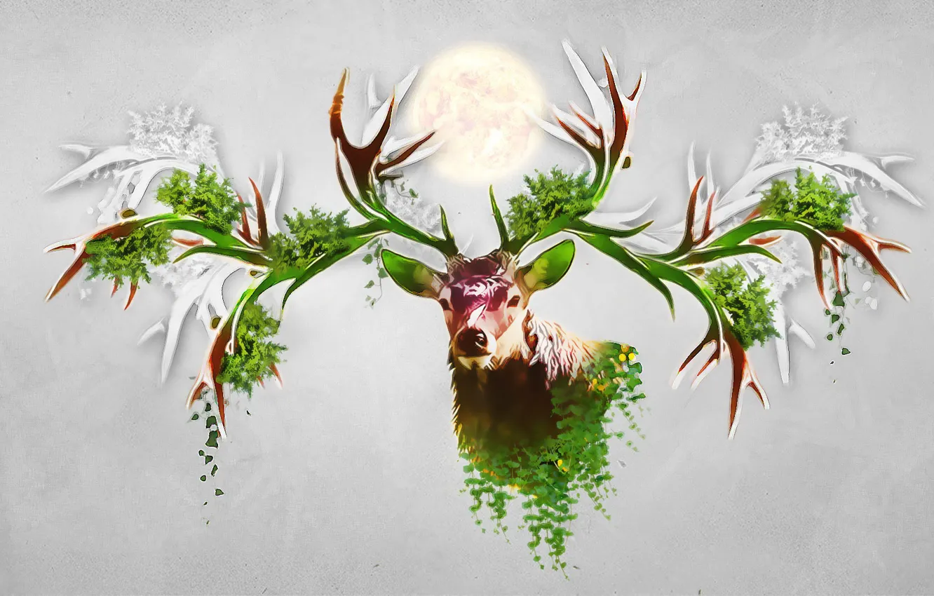 Photo wallpaper abstraction, animal, deer, horns