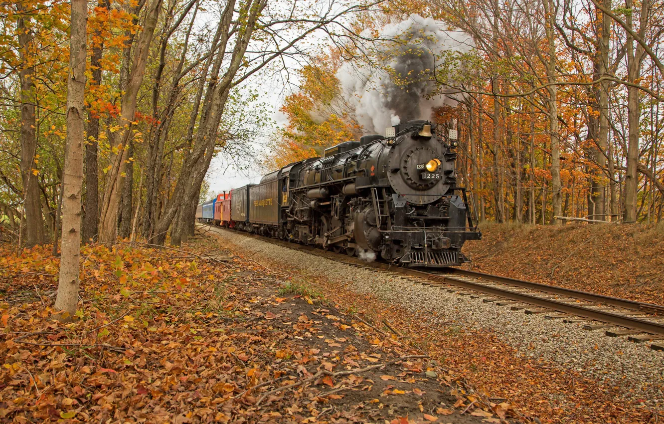 Photo wallpaper autumn, forest, train