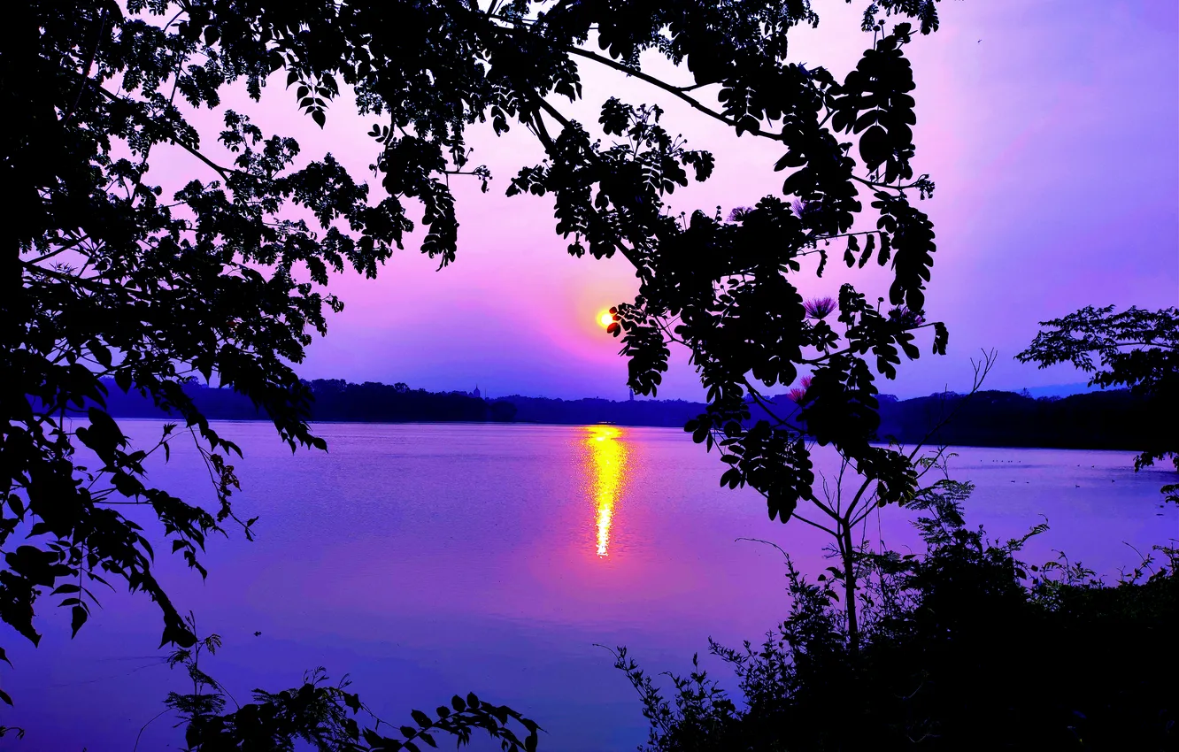 Photo wallpaper trees, water, lake, morning, sun, sunrise, dawn, woods