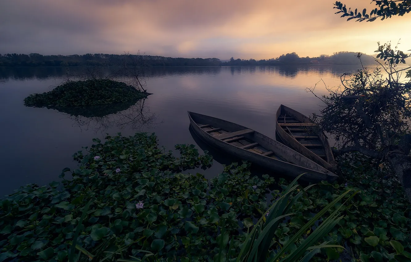 Photo wallpaper fog, river, boat, morning