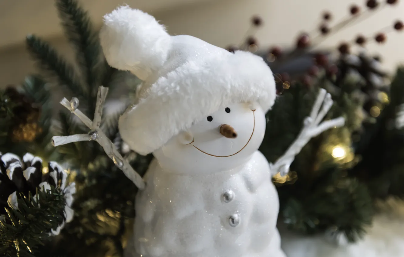Photo wallpaper winter, white, branches, smile, holiday, hat, toy, hands