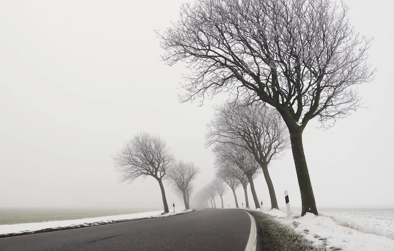 Photo wallpaper winter, road, trees, fog