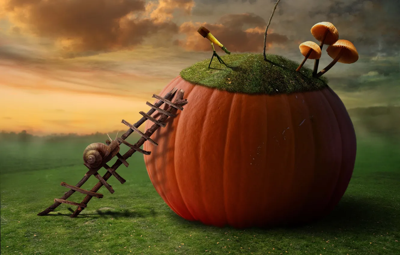 Photo wallpaper creative, mushrooms, snail, ladder, pumpkin, spyglass