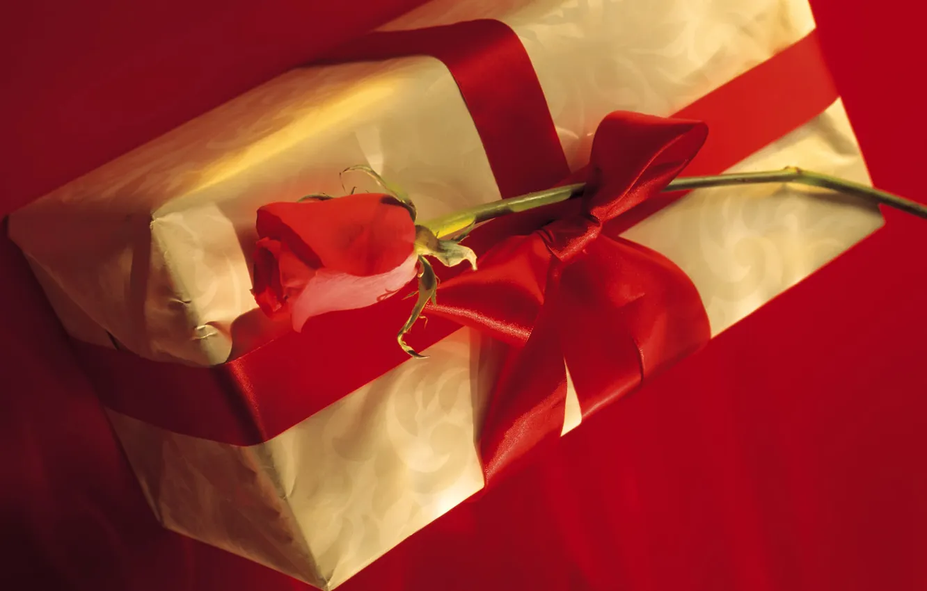 Photo wallpaper flowers, red, mood, holiday, box, gift, color, roses