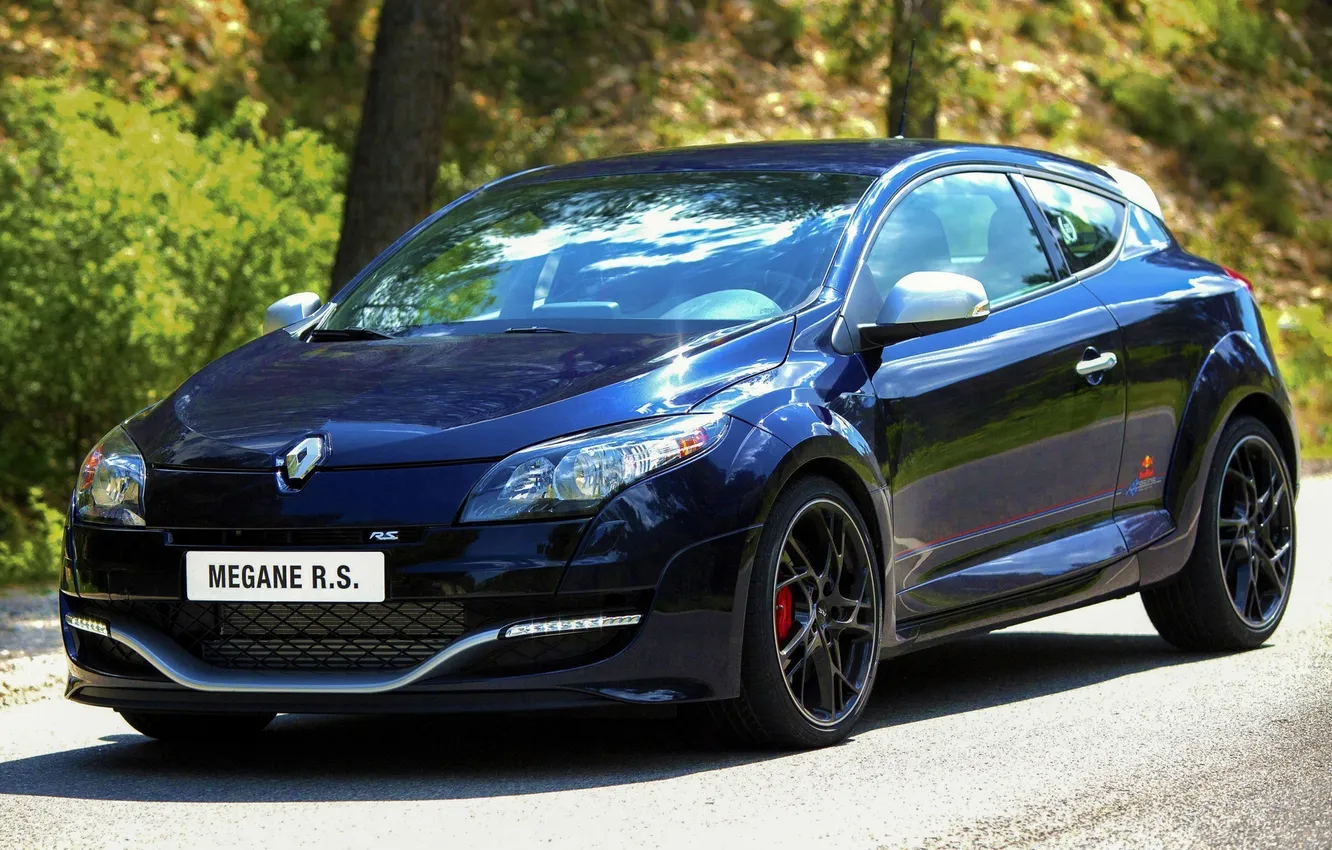 Photo wallpaper Renault, sports car, the front, Reno, Megan, Megane, R.S. 250, Red Bull Racing RB8