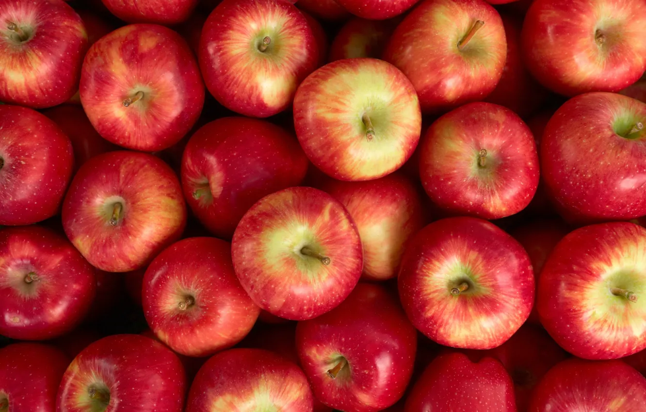 Photo wallpaper red, apples, a lot