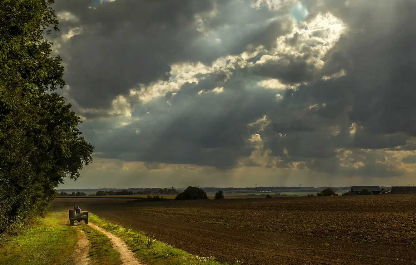 Photo wallpaper road, field, summer, the sky, clouds, rays, light, trees