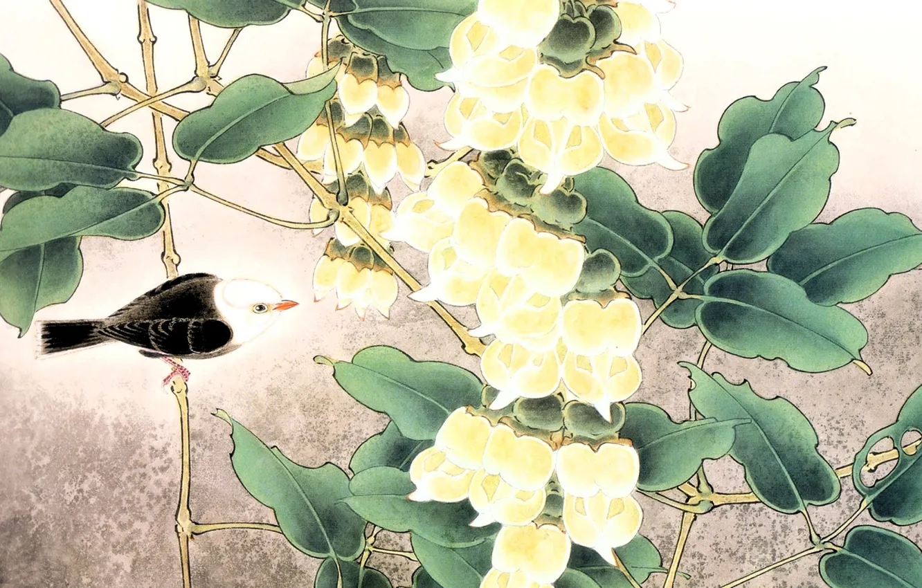 Photo wallpaper flowers, bird, bird