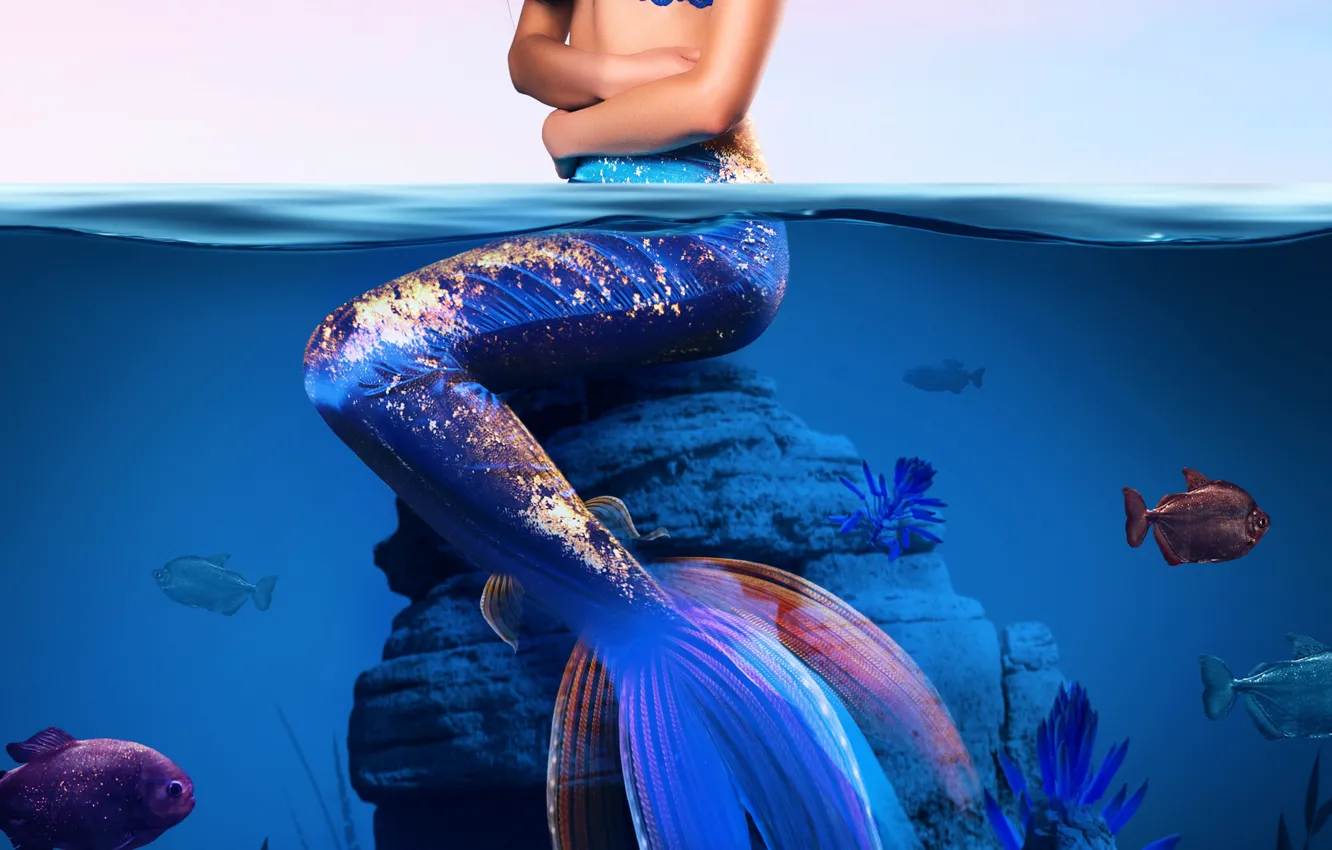 Photo wallpaper fish, mermaid, sitting