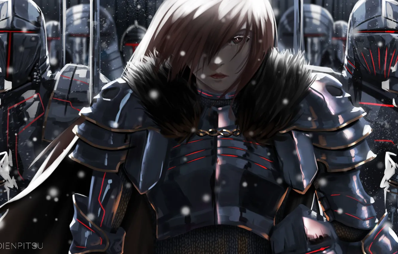 Photo wallpaper girl, knight, army