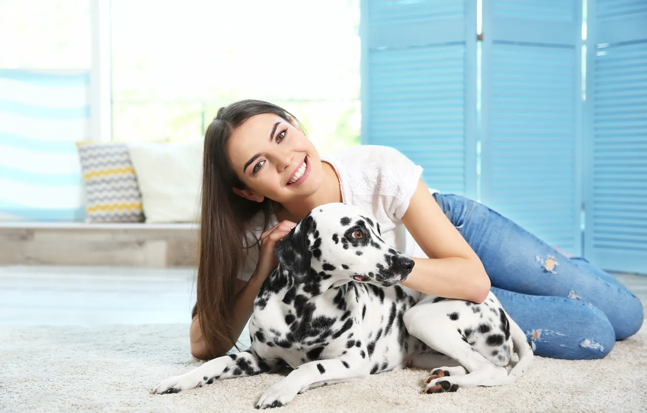 Photo wallpaper dog, dog, Dalmatian, dalmatian