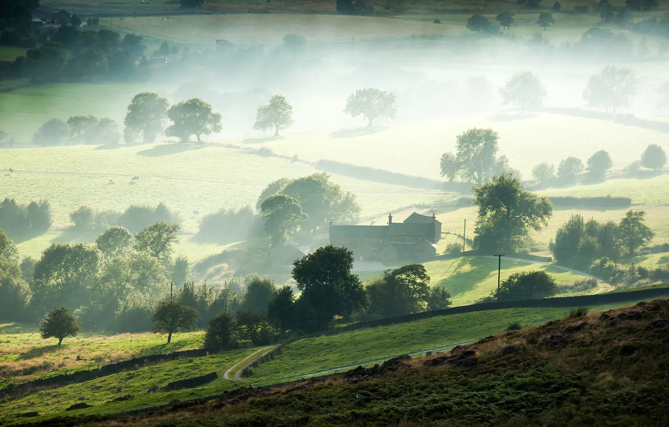 Photo wallpaper trees, fog, morning, valley, farm
