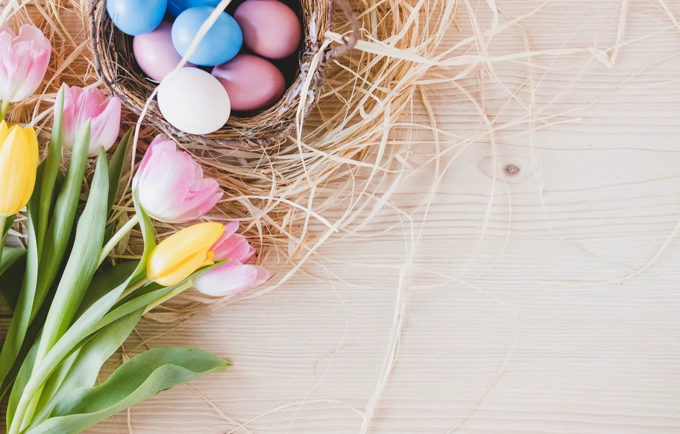 Photo wallpaper flowers, spring, Easter, tulips, pink, pink, flowers, tulips