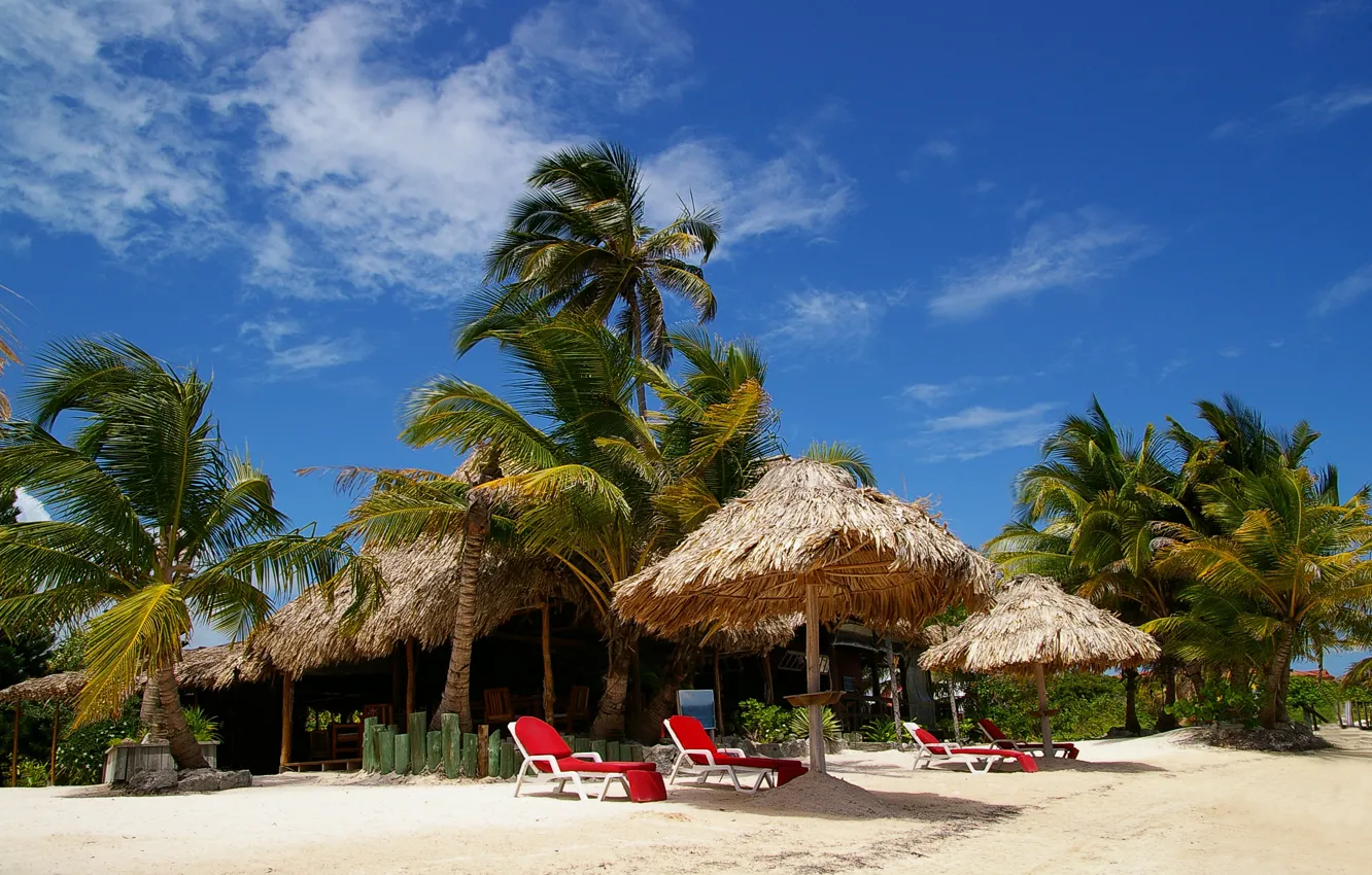 Photo wallpaper beach, palm trees, stay, umbrellas, gazebo, sunbeds