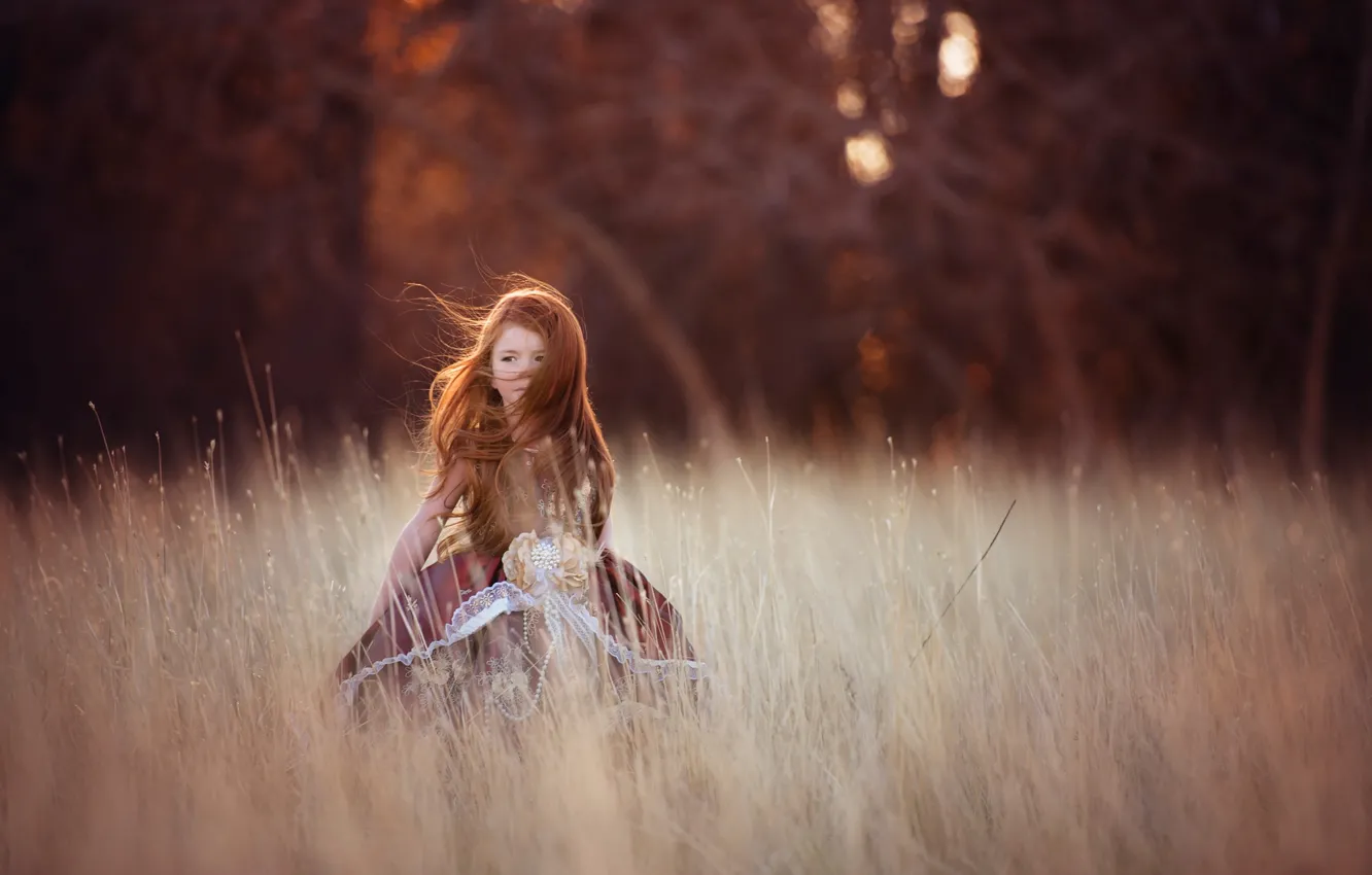 Photo wallpaper field, the wind, girl, redhead