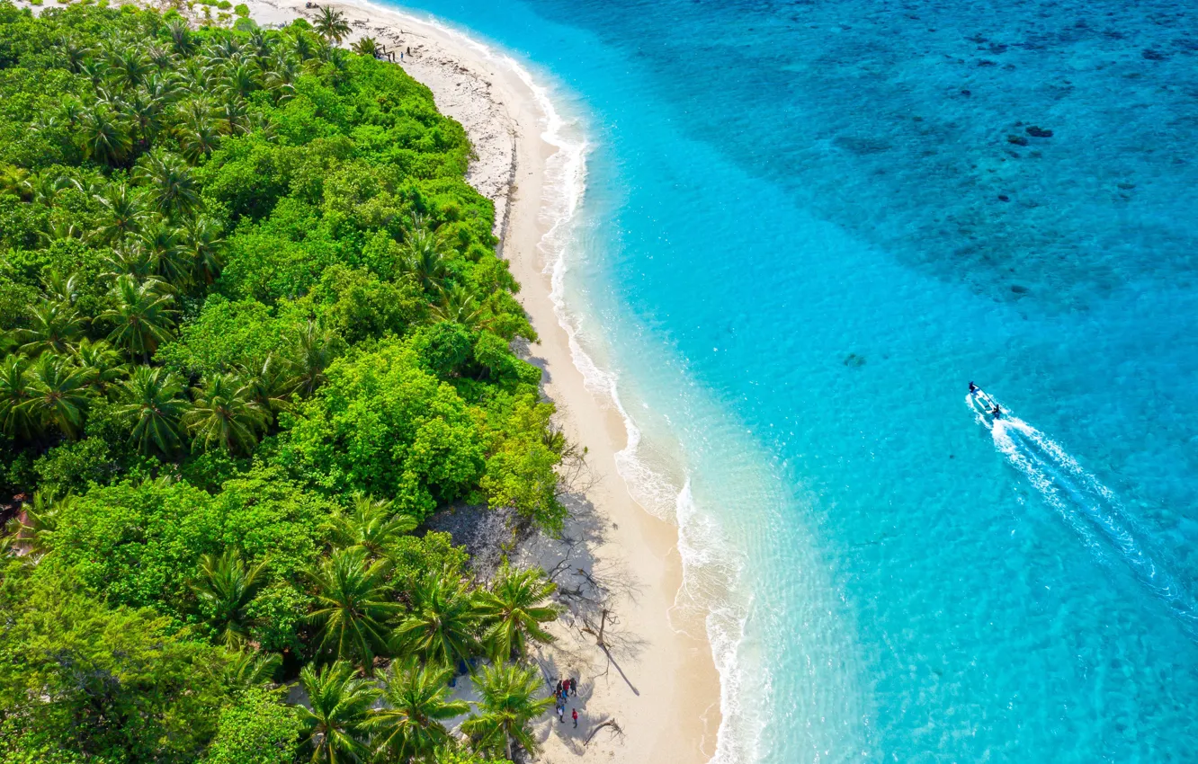 Photo wallpaper beach, tropics, palm trees, the ocean, shore, island, wallpaper, The Maldives