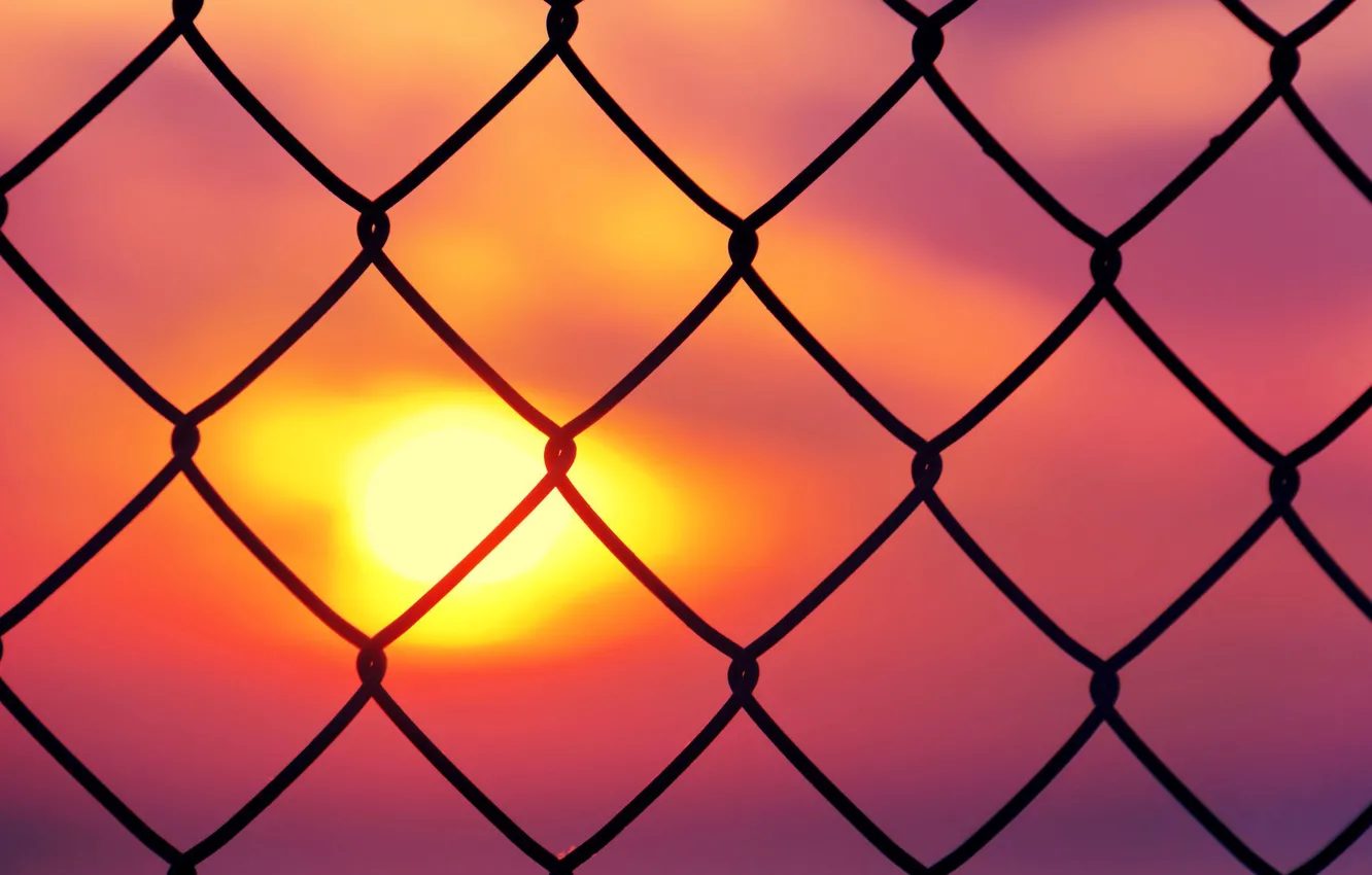 Photo wallpaper the sky, the sun, sunset, background, mood, mesh, Wallpaper, the fence