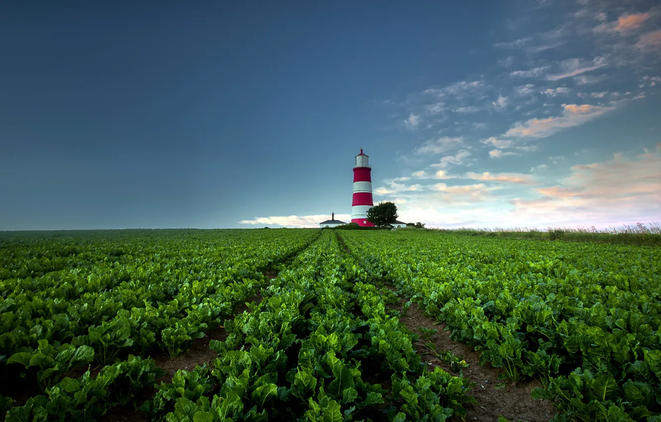 Photo wallpaper field, nature, lighthouse