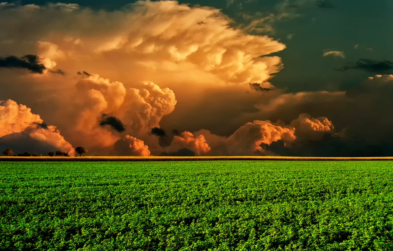 Photo wallpaper field, the sky, clouds, horizon