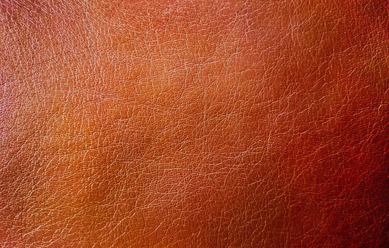 Photo wallpaper texture, leather, brown
