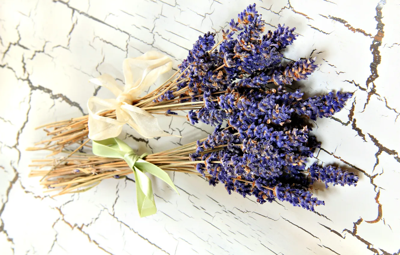 Photo wallpaper flowers, still life, lavender