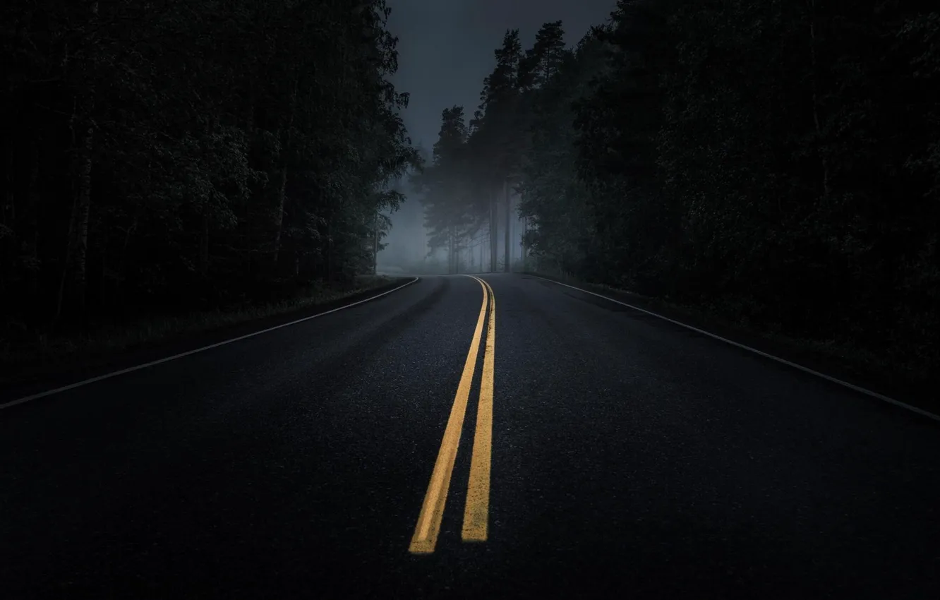 Photo wallpaper road, forest, asphalt, fog, twilight