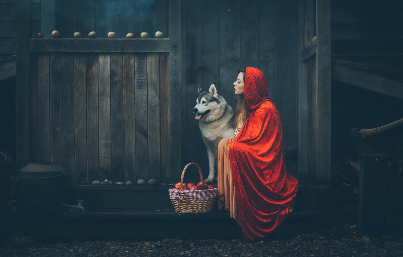 Photo wallpaper girl, mood, basket, apples, dog, hood, cloak, Grant Lampard