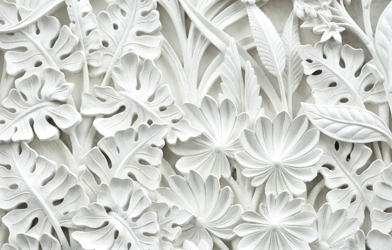 Photo wallpaper leaves, flowers, pattern, stucco