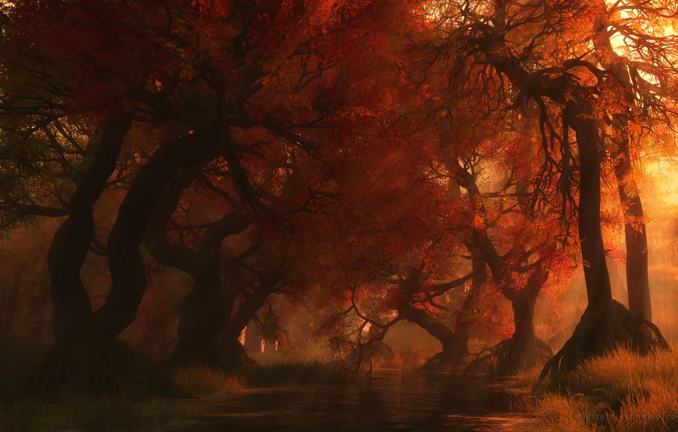 Photo wallpaper autumn, trees, nature, beauty