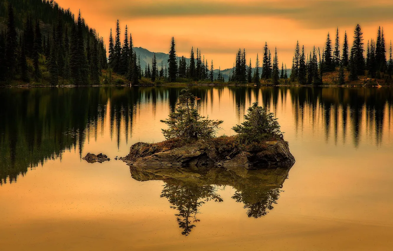 Photo wallpaper forest, grass, water, trees, sunset, mountains, branches, nature