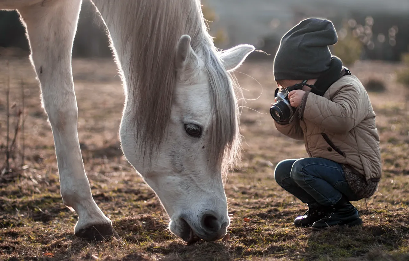 Photo wallpaper children, horse, camera