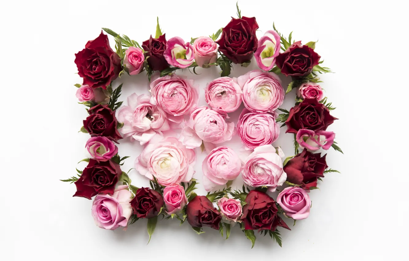 Photo wallpaper flowers, roses, red, pink, pink, flowers, peonies, roses
