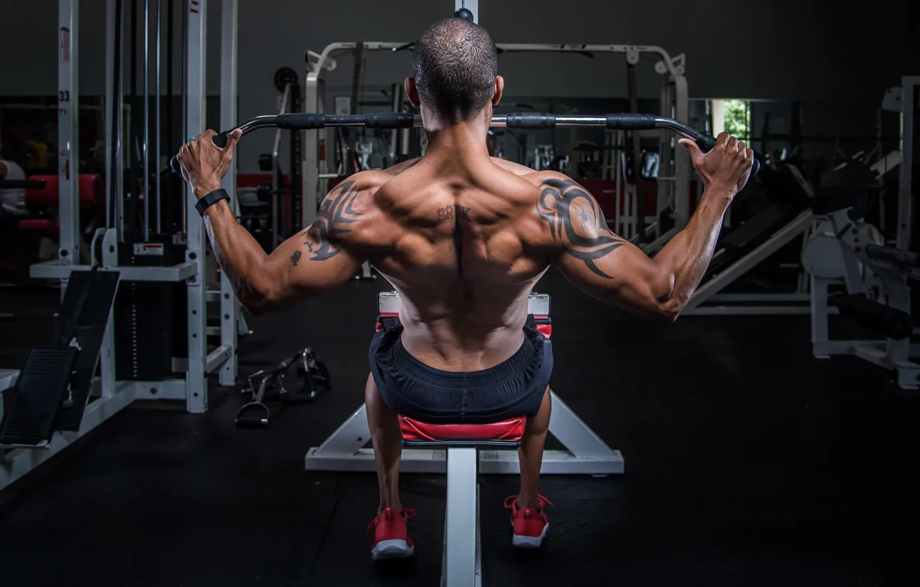 Photo wallpaper man, back, workout, bodybuilding