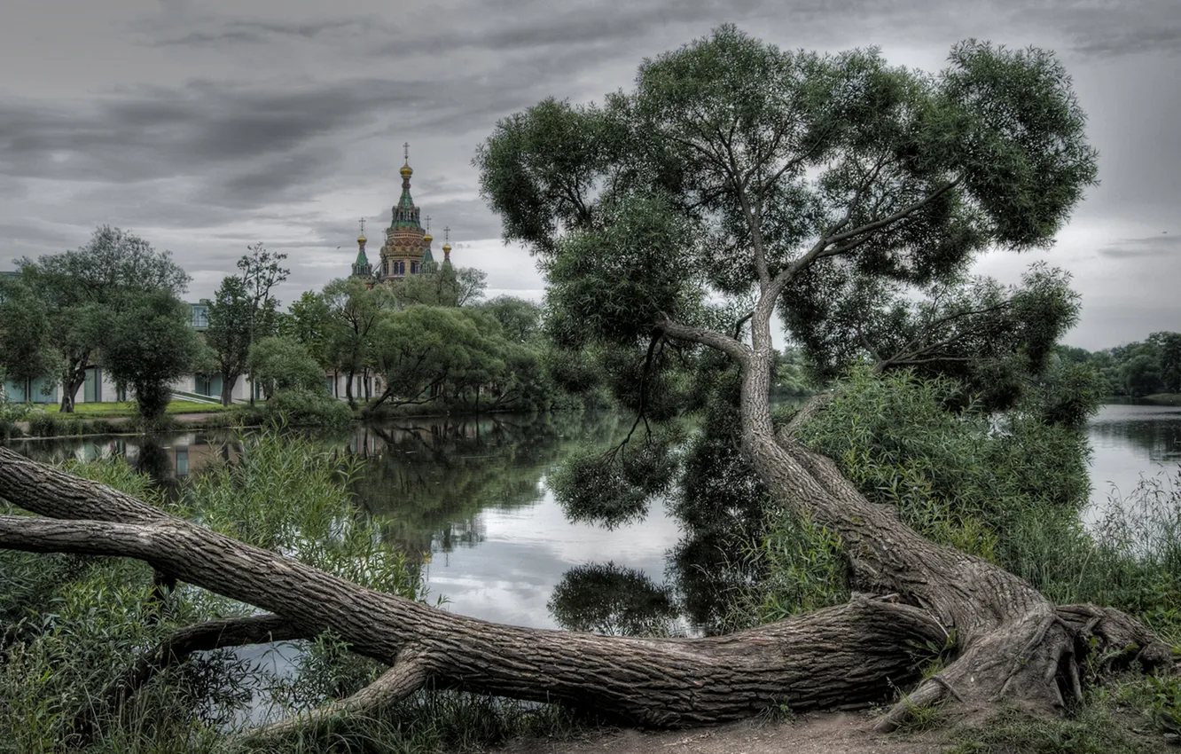 Photo wallpaper clouds, trees, clouds, nature, lake, Cathedral