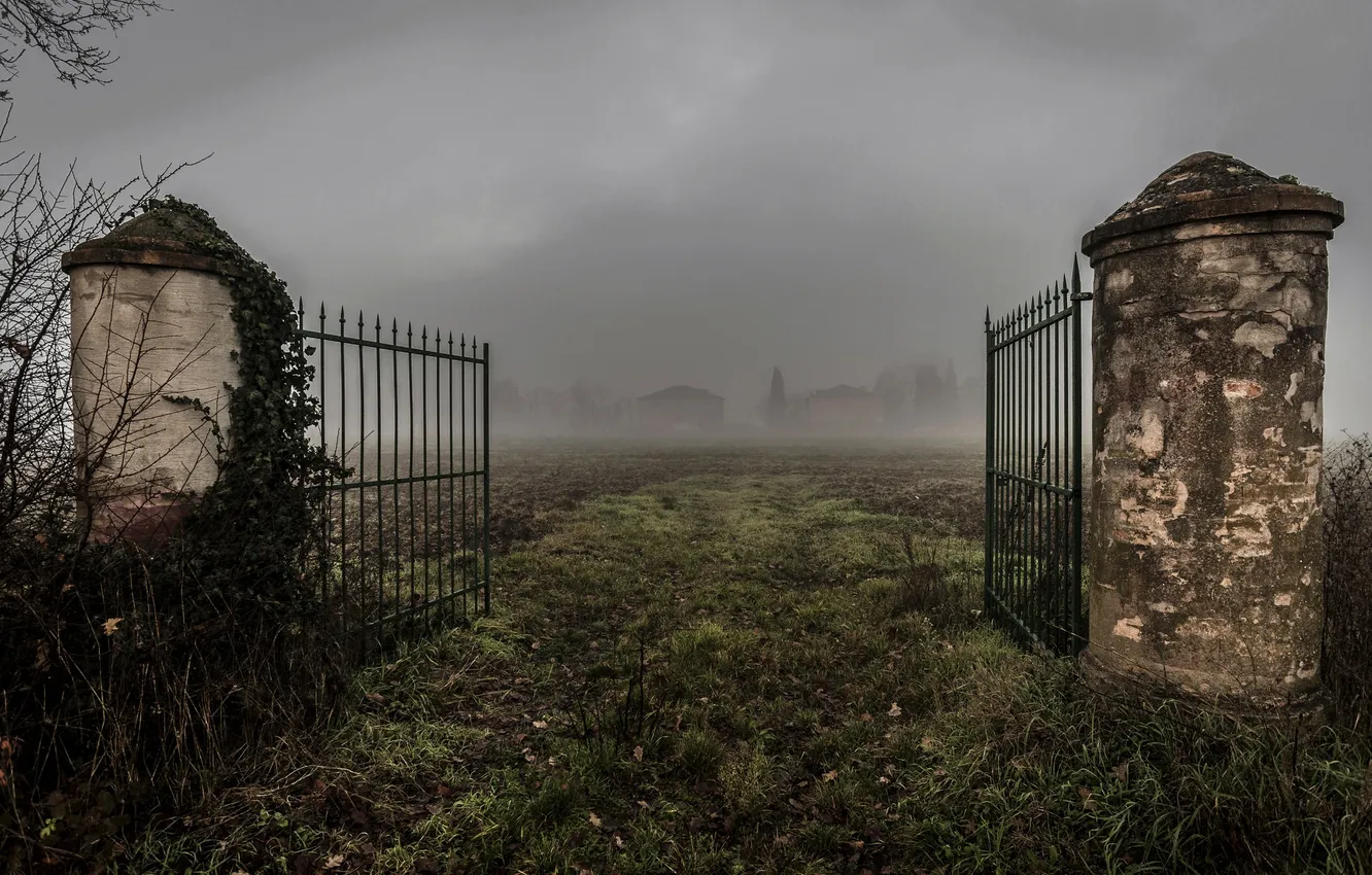 Photo wallpaper field, fog, gate