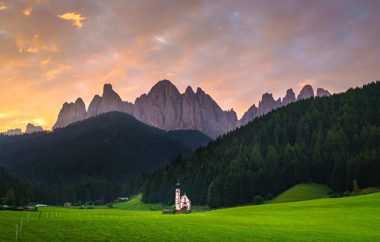 Photo wallpaper greens, field, forest, the sky, grass, clouds, light, mountains