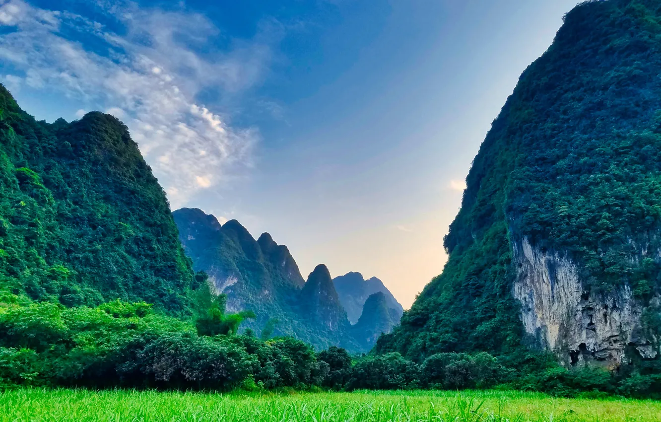 Photo wallpaper green field, blue sky, Far mountain