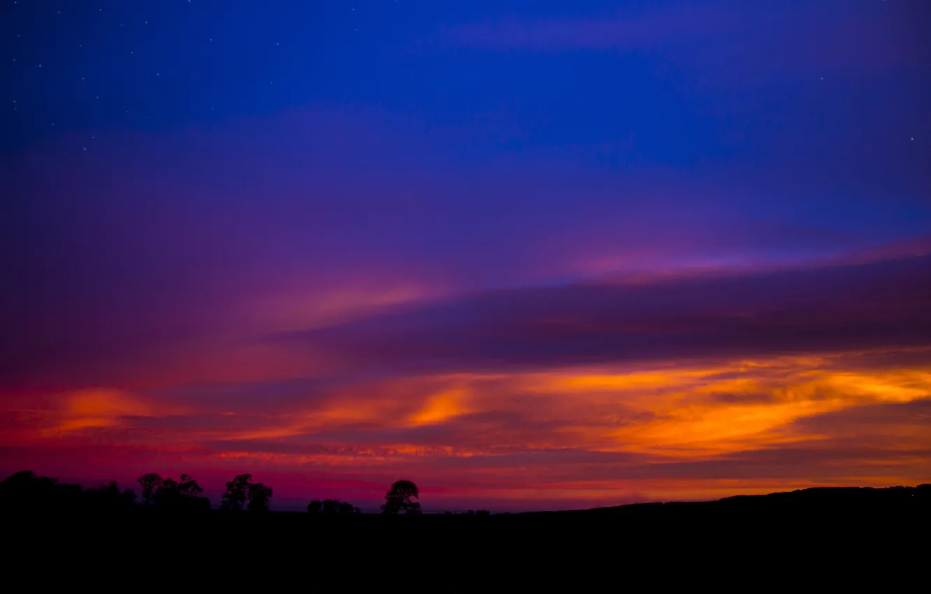 Photo wallpaper the sky, trees, landscape, sunset, silhouette