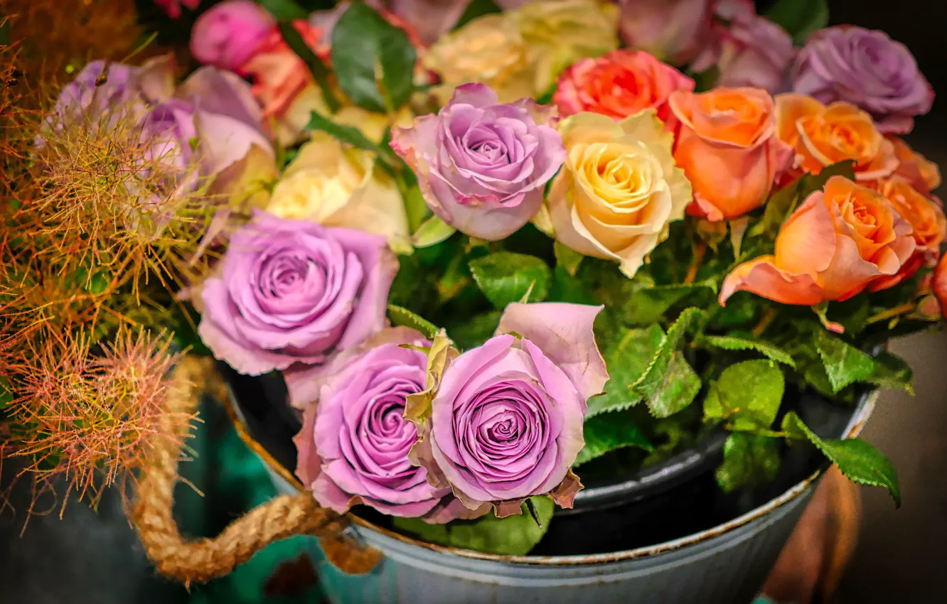 Photo wallpaper flowers, roses, bucket