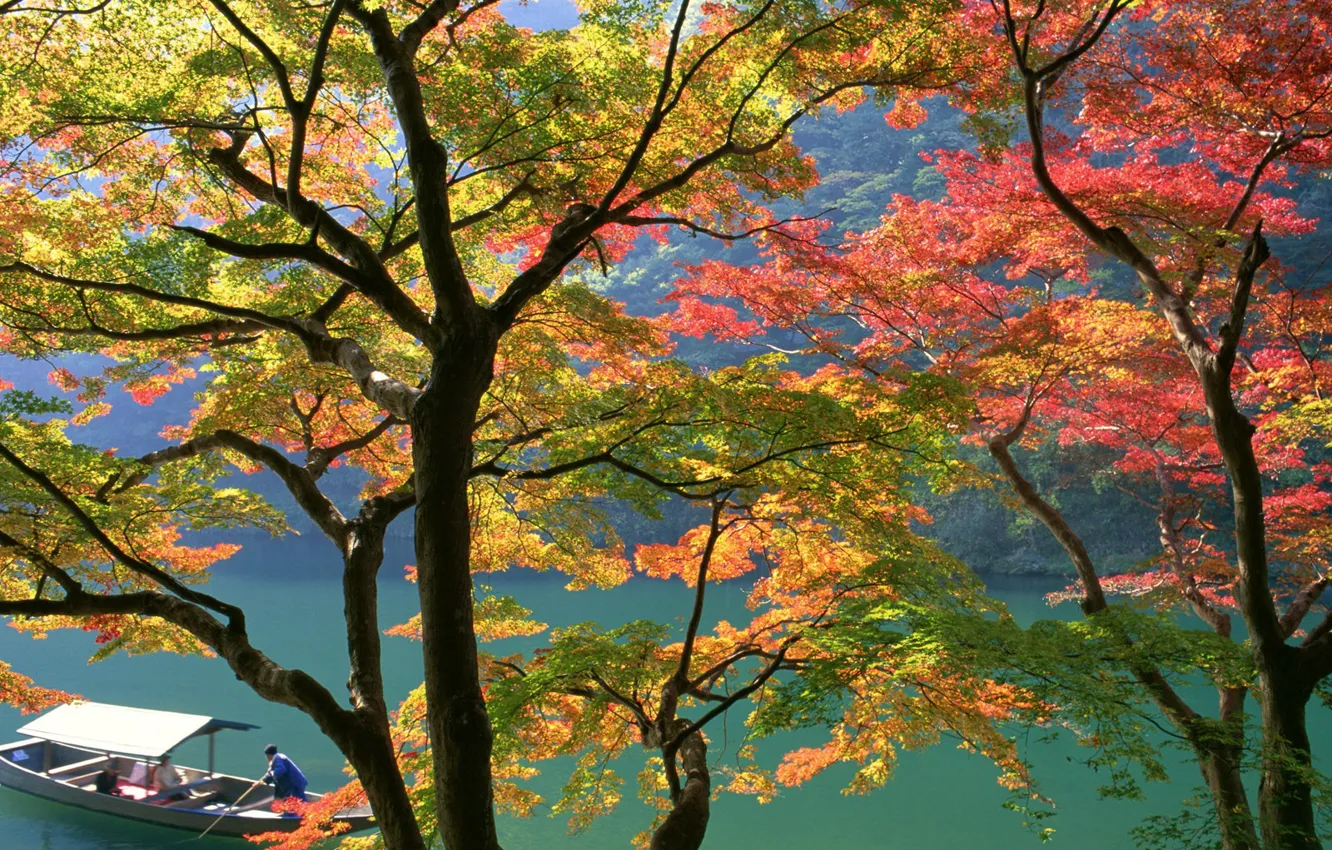 Photo wallpaper autumn, boat, Japan