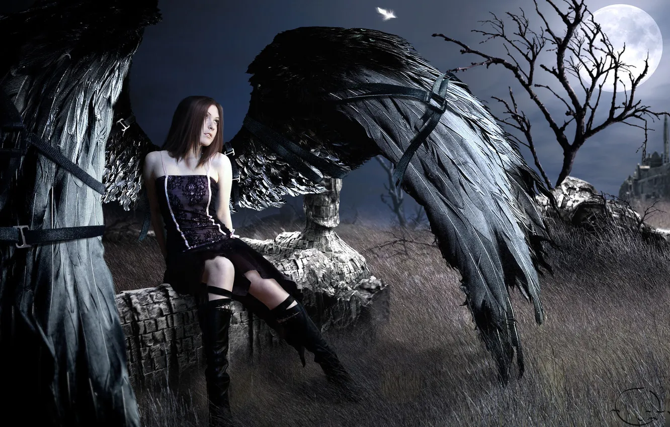 Photo wallpaper girl, trees, the moon, wings, feathers