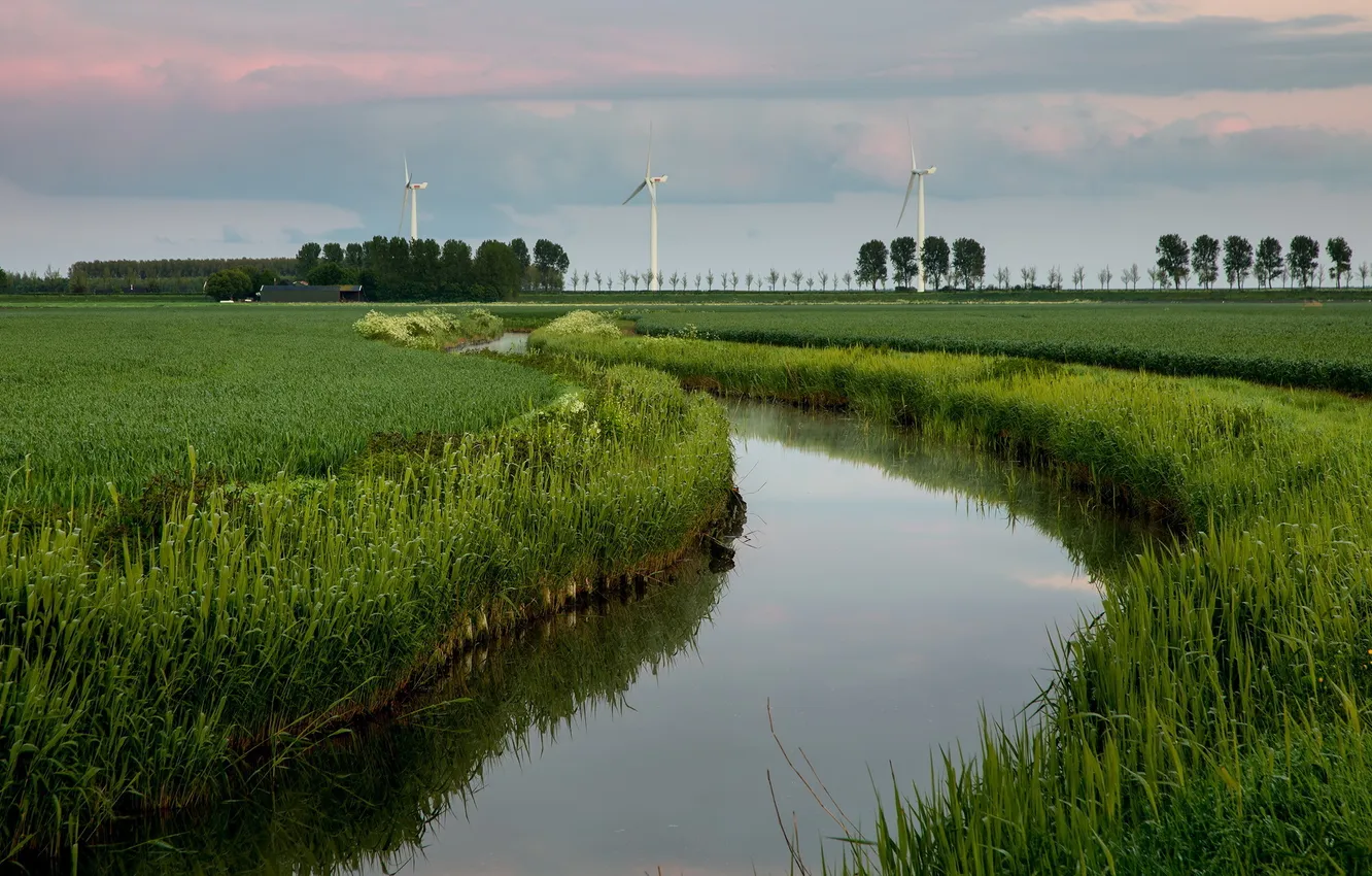 Photo wallpaper field, landscape, river, windmills