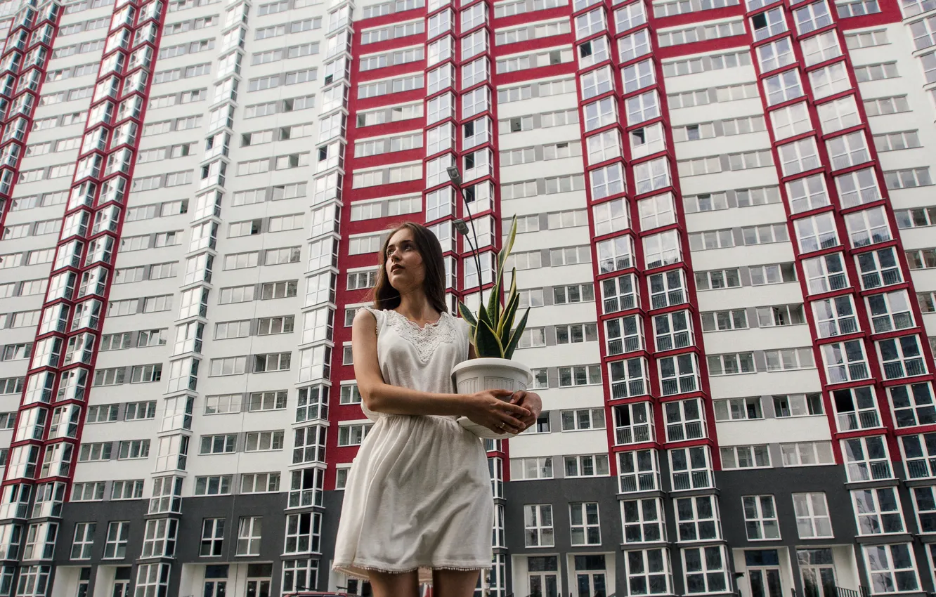 Photo wallpaper the city, girl, pose