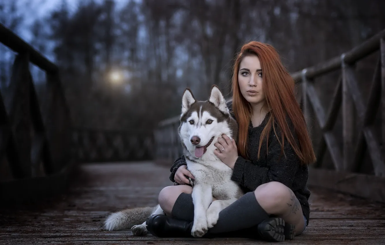 Photo wallpaper girl, bridge, dog