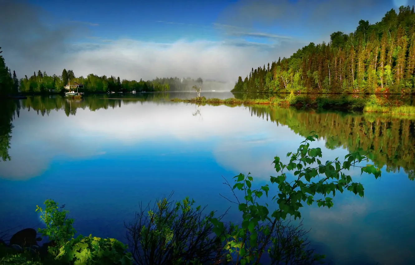 Photo wallpaper forest, landscape, nature, fog, lake, Canada