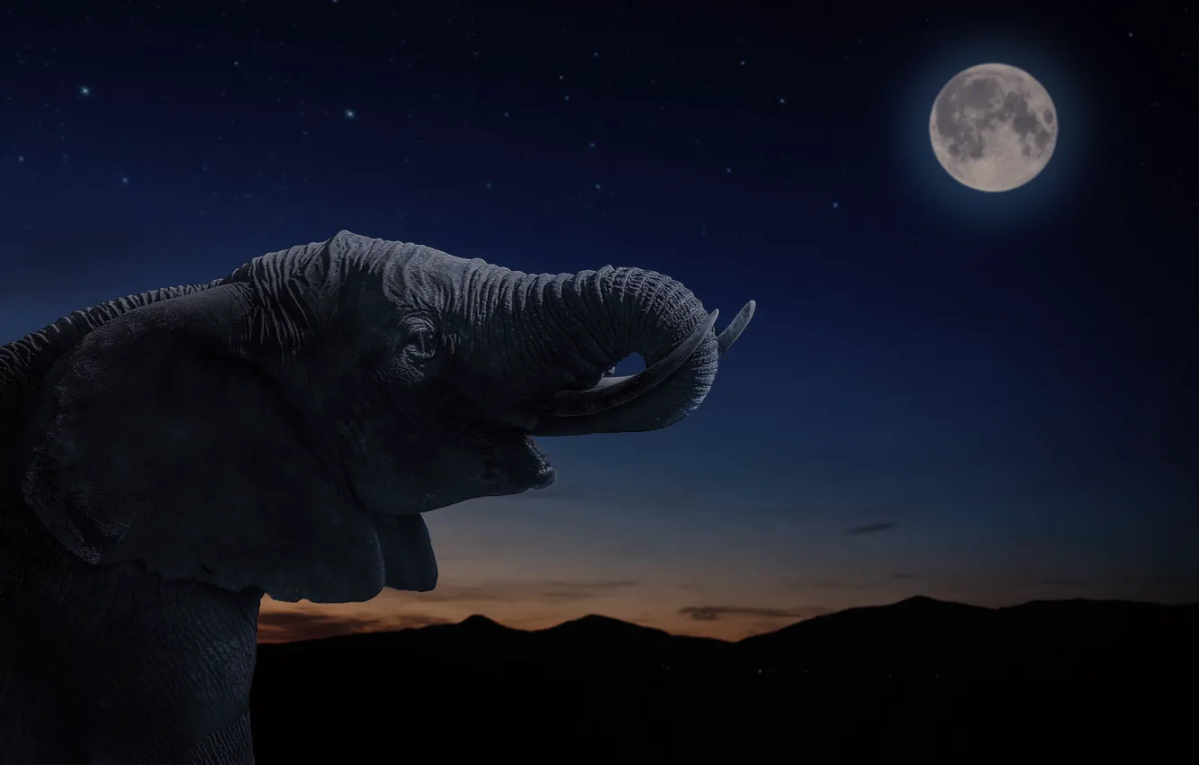 Photo wallpaper stars, night, elephant, The moon, moon, night, stars, elephant