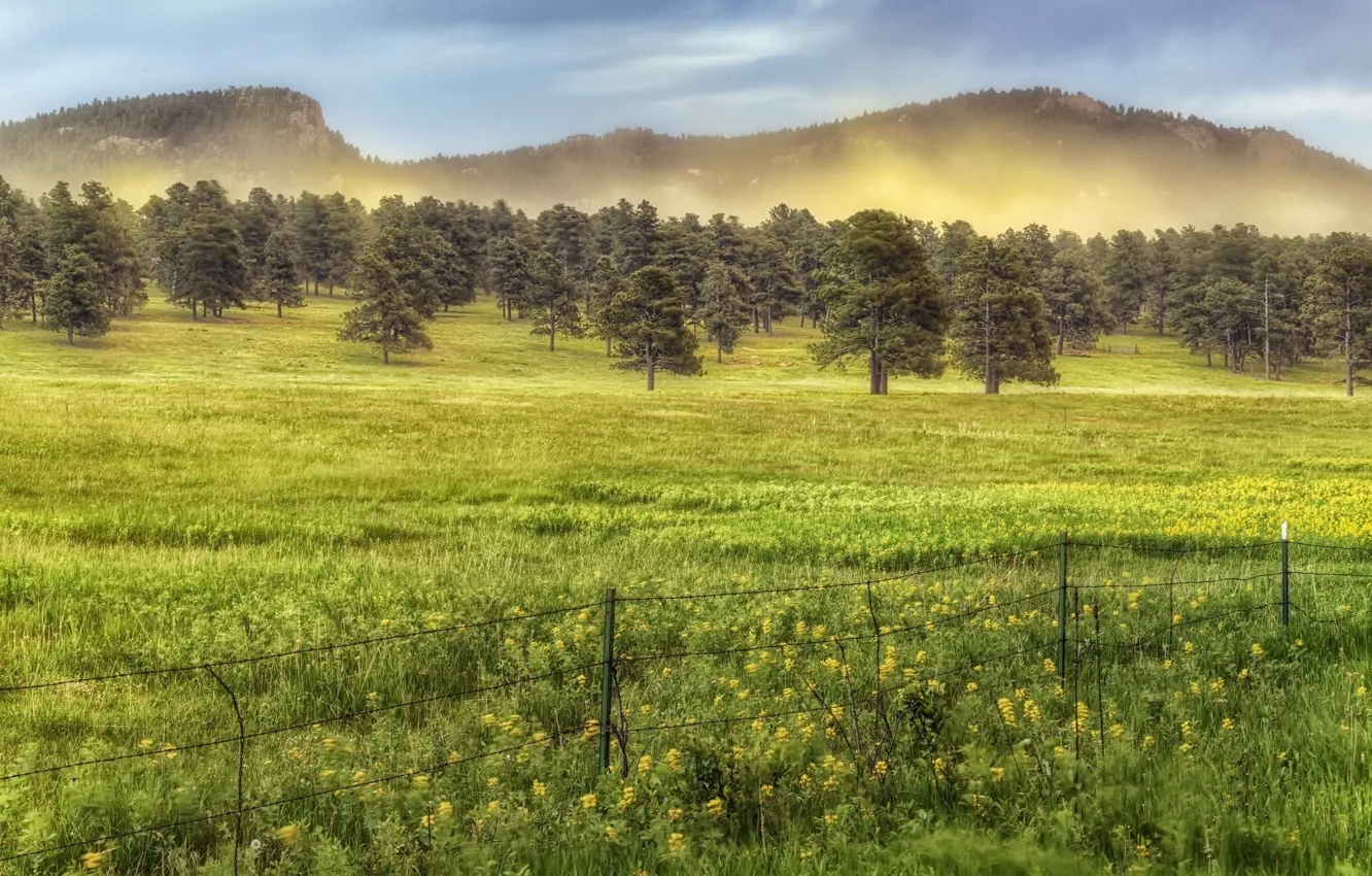 Photo wallpaper field, summer, the fence